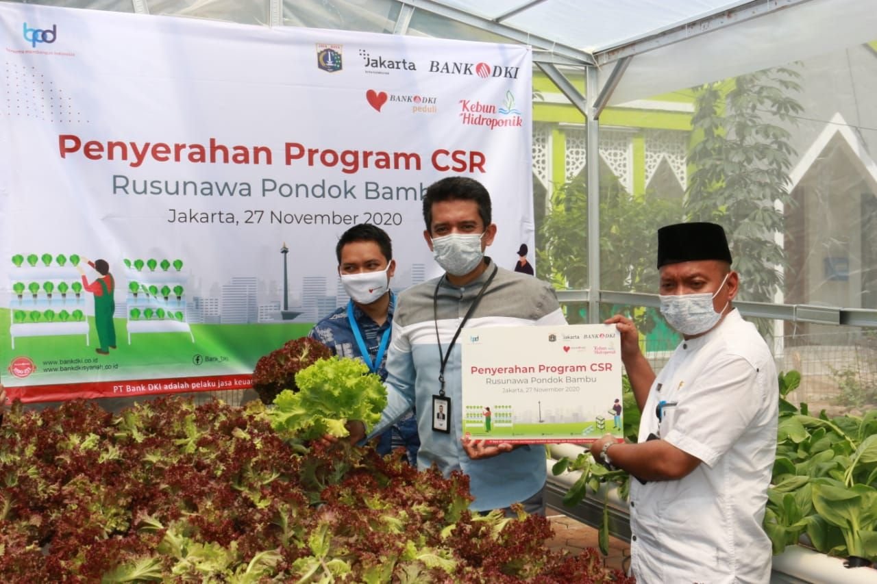 Bank DKI Invites DKI Jakarta Flat Residents to Develop Hydroponic Businesses