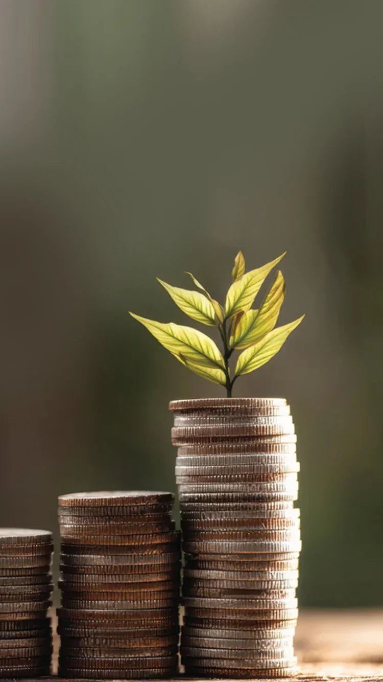 Fund Placement for Business Solutions
