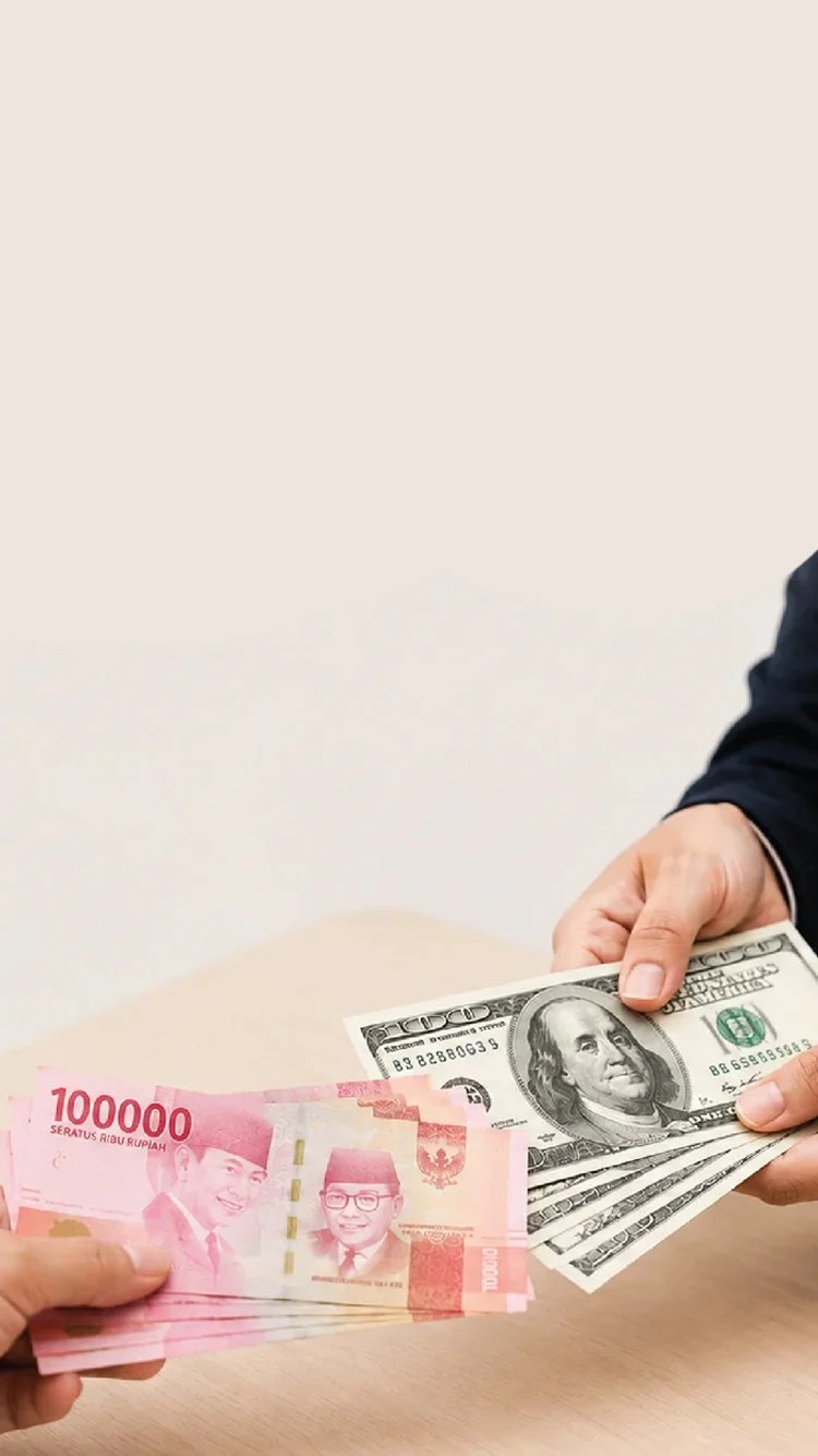 Foreign Exchange Trading for International Transaction Needs